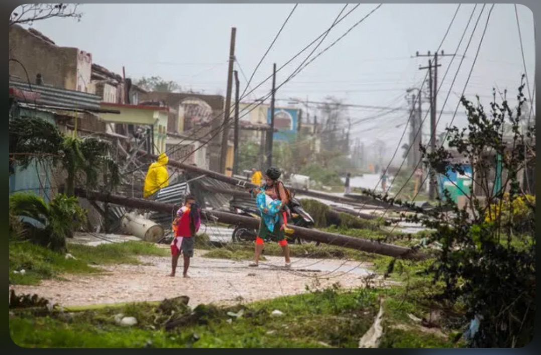 Rebuild Jamaica with the Jam Pot Family campaign photo, 7 of 8