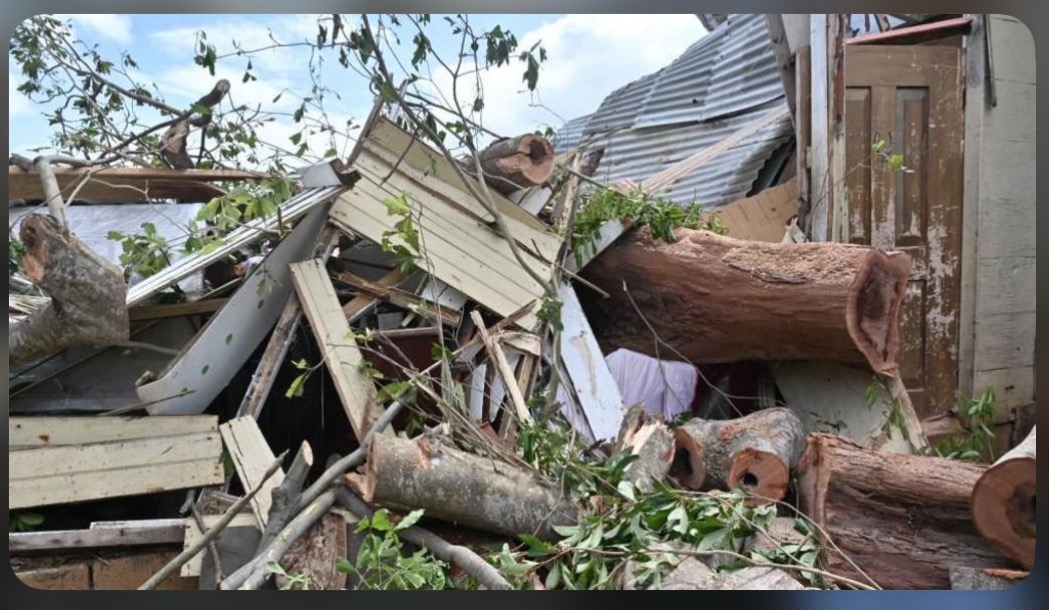 Rebuild Jamaica with the Jam Pot Family campaign photo, 2 of 8