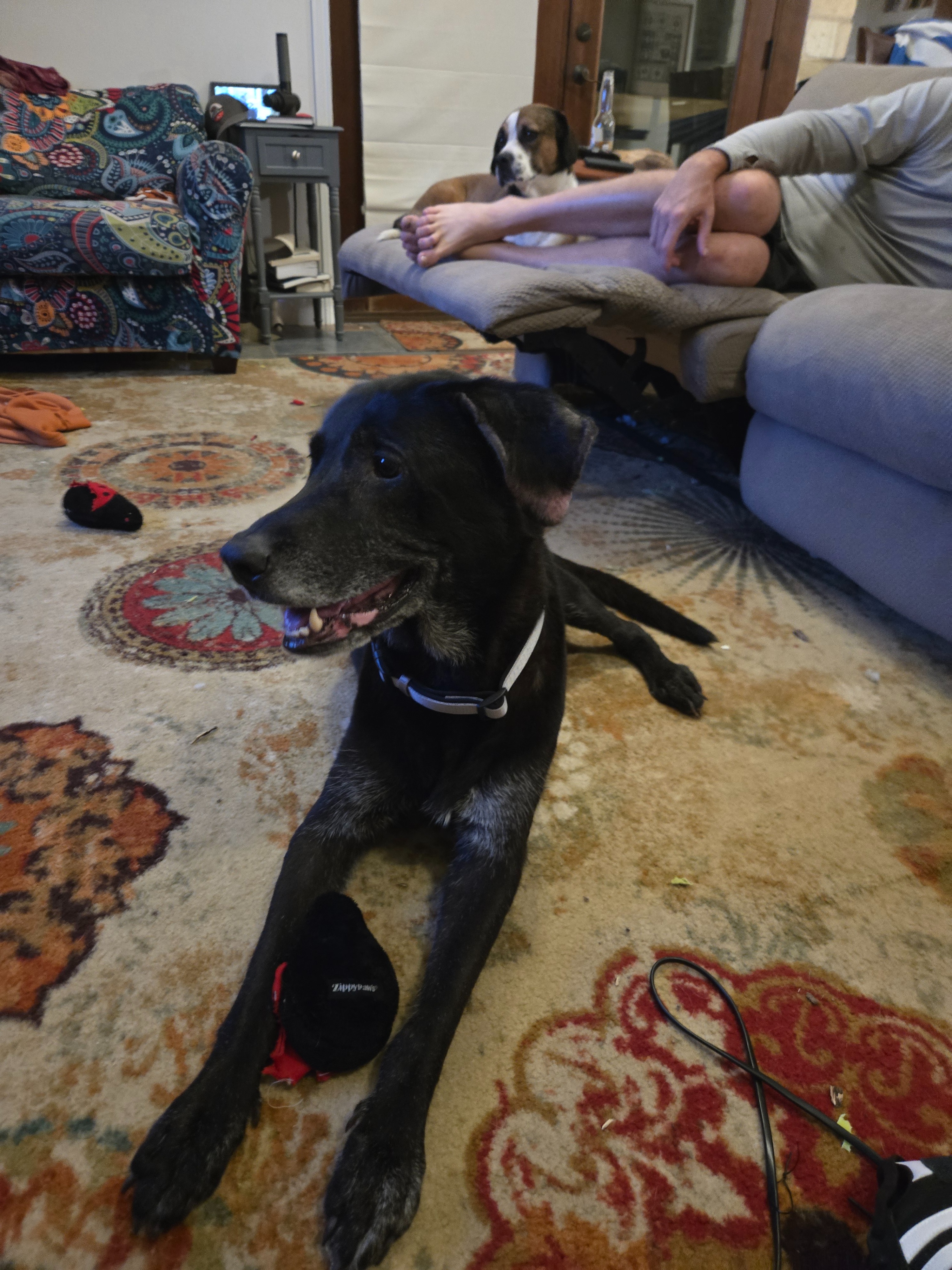 Donate to Ryker's Journey to Good Health campaign photo, 2 of 7