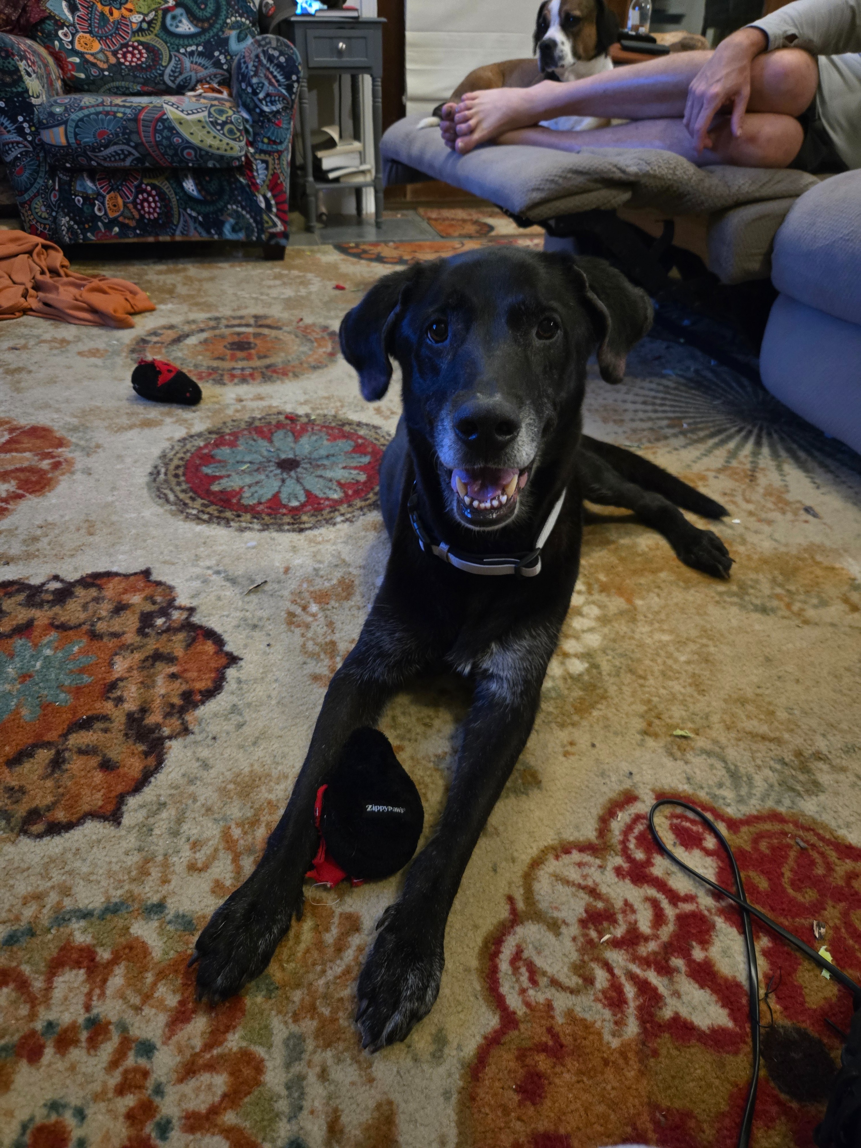 Donate to Ryker's Journey to Good Health campaign photo, 4 of 7