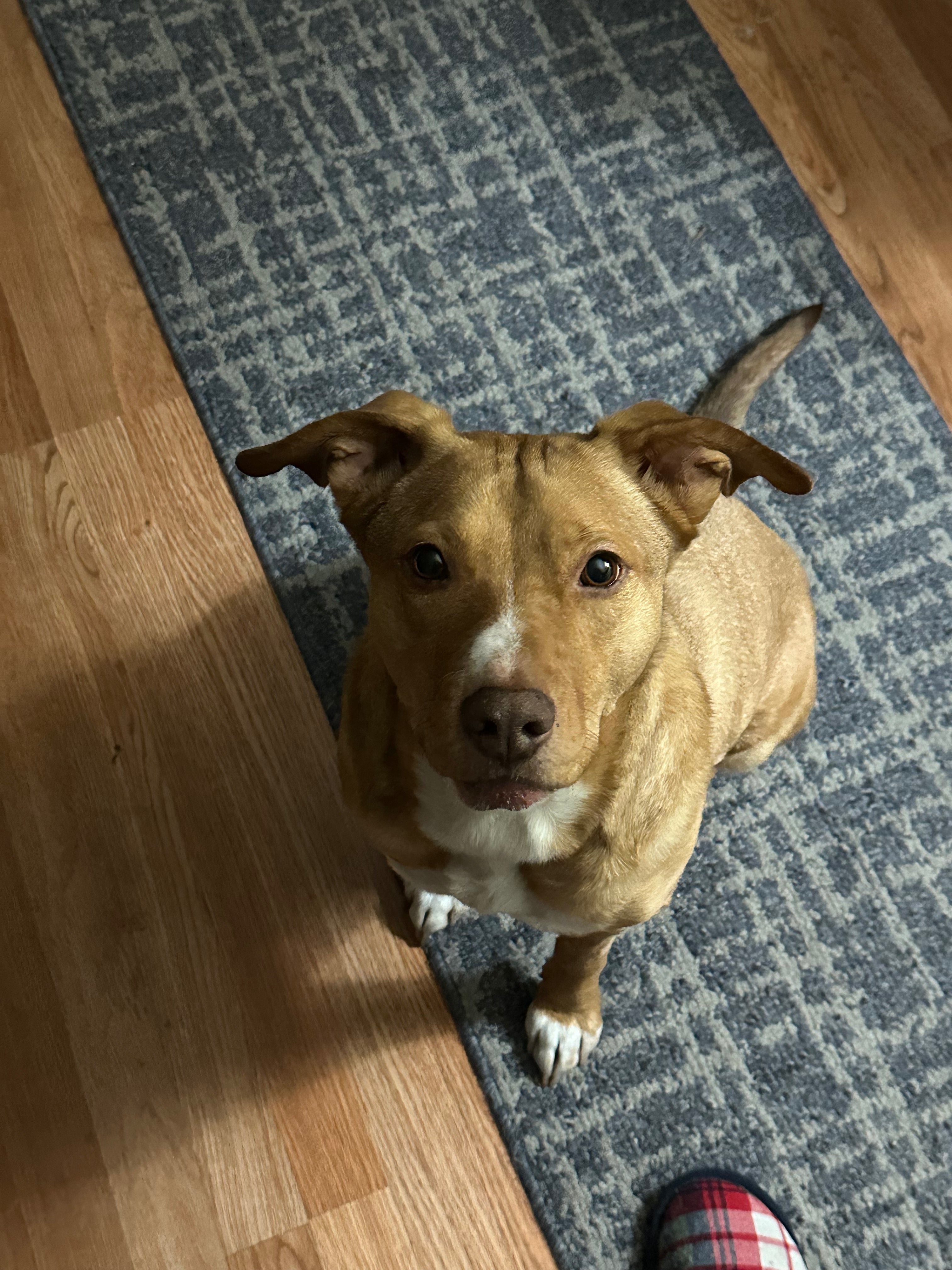 Support Sandy's Life-Saving Surgery campaign photo, 2 of 4