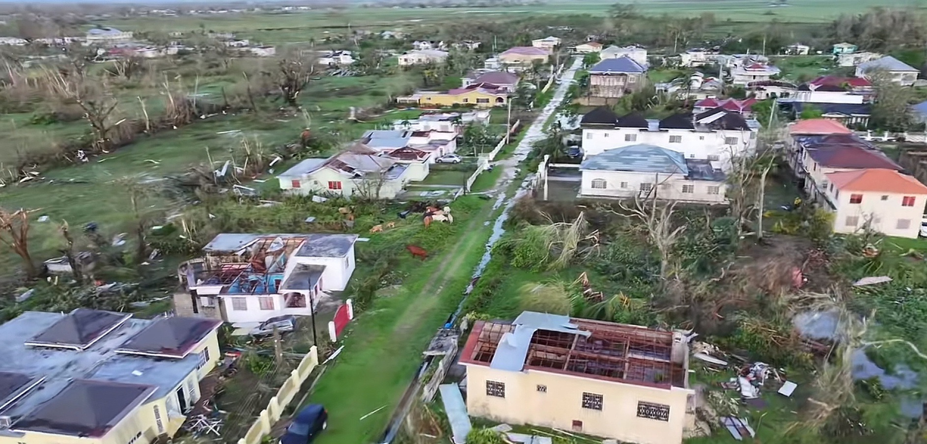 Help Rohan Rebuild The Family Home After Hurricane Melissa campaign photo, 2 of 4