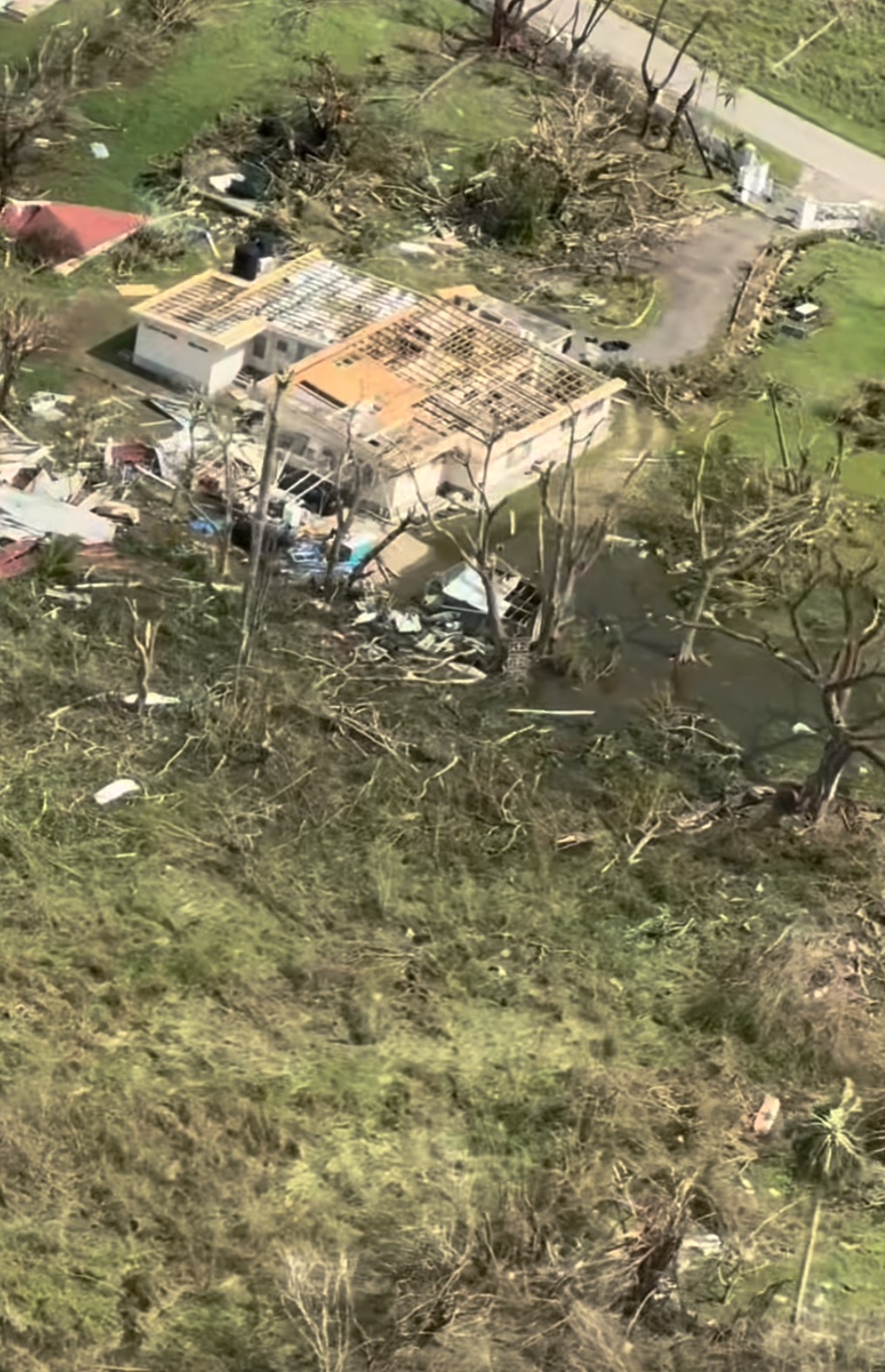 Help Families in North East St. Elizabeth Recover campaign photo, 4 of 7