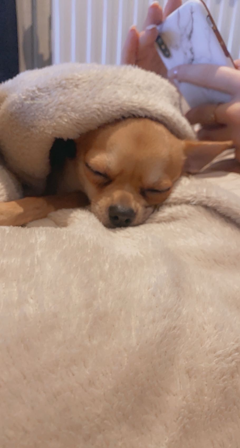 User-uploaded image 1