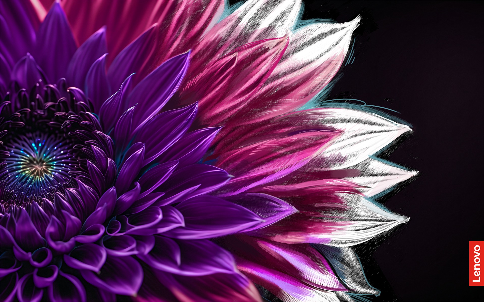 User-uploaded image 1