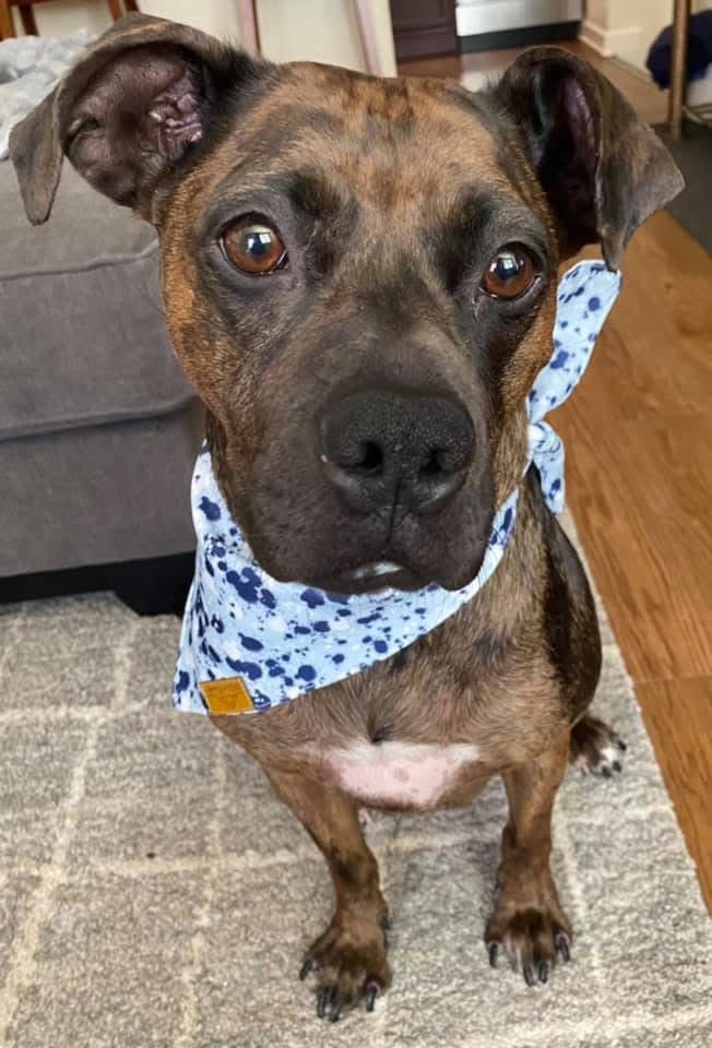 Donate to Save Georgia and Comfort Her Family campaign photo, 6 of 8