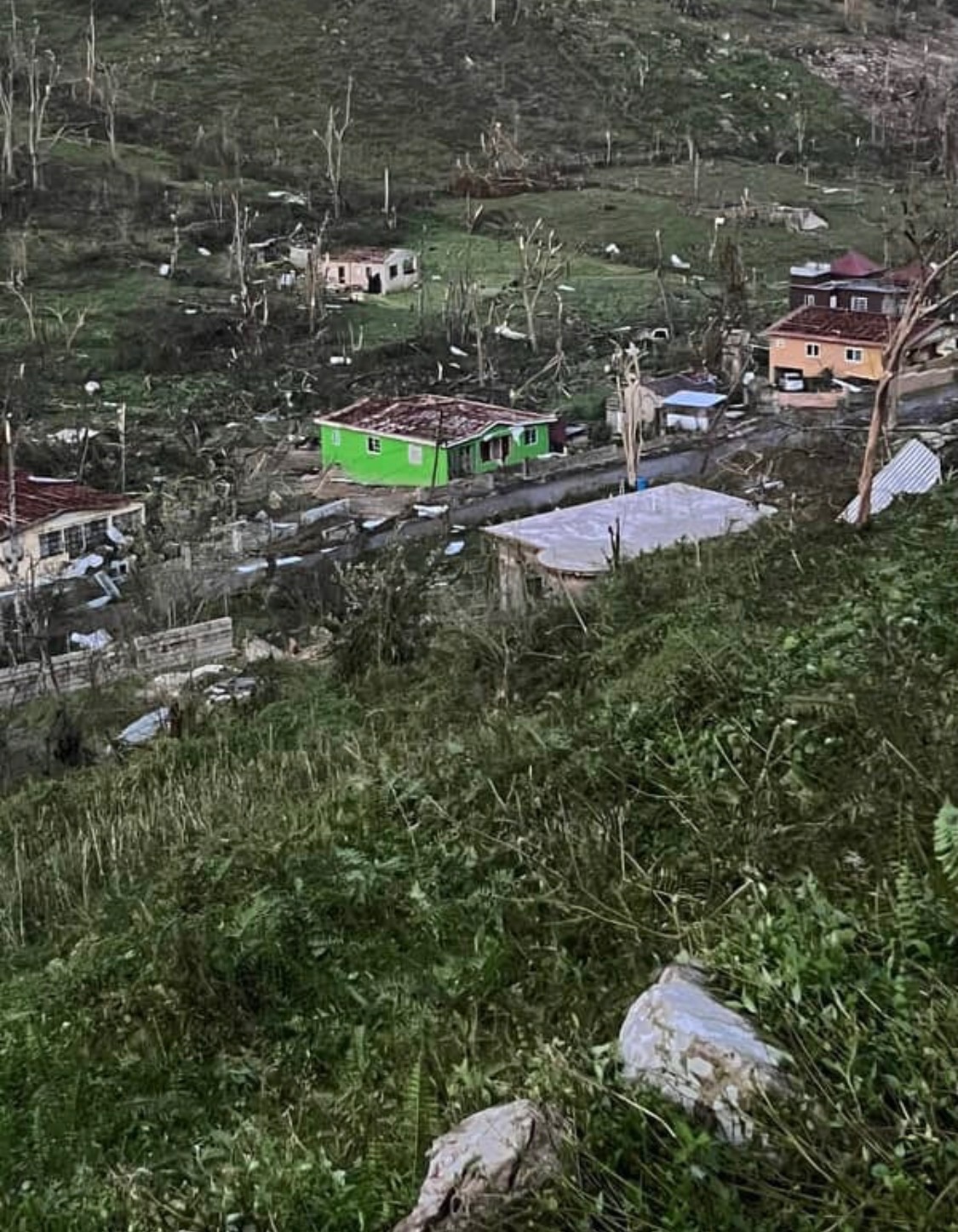 Help Jevine's Family Rebuild After Hurricane Melissa campaign photo, 7 of 8