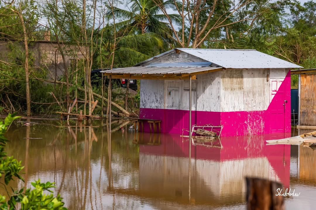 Recover from hurricane Mellisa campaign photo, 6 of 8