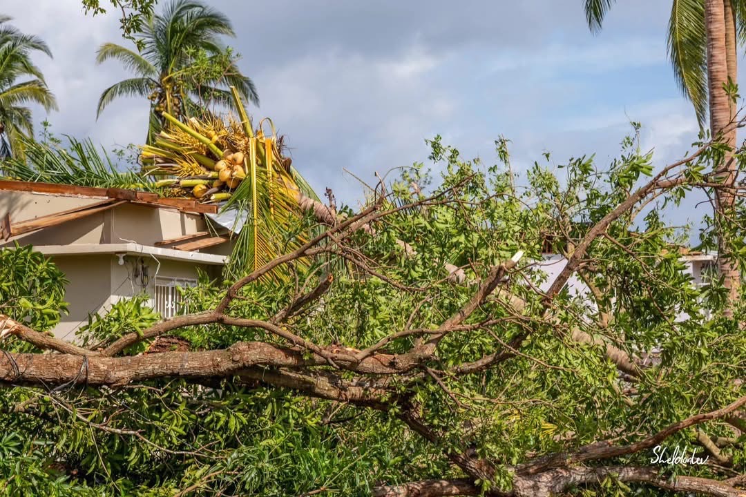Recover from hurricane Mellisa campaign photo, 5 of 8