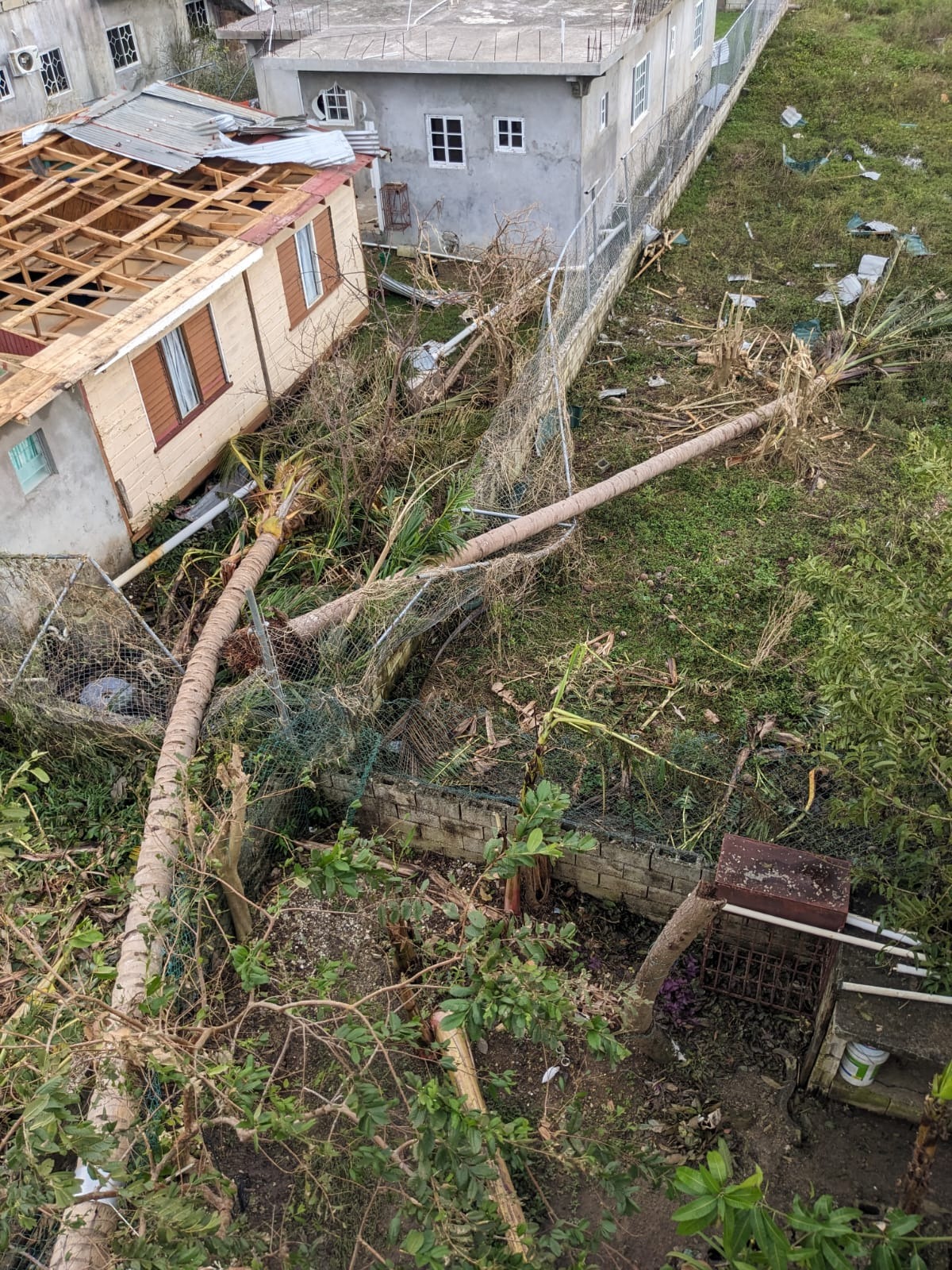 My Jamaican community emergency response campaign photo, 4 of 5