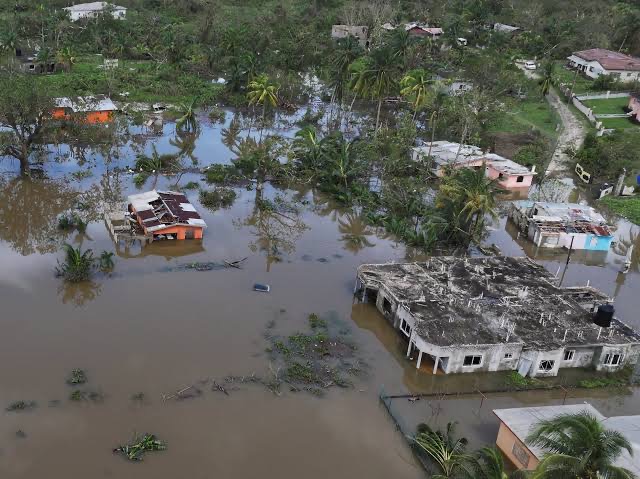 Giving an helping hand to Jamaica. campaign photo, 6 of 7