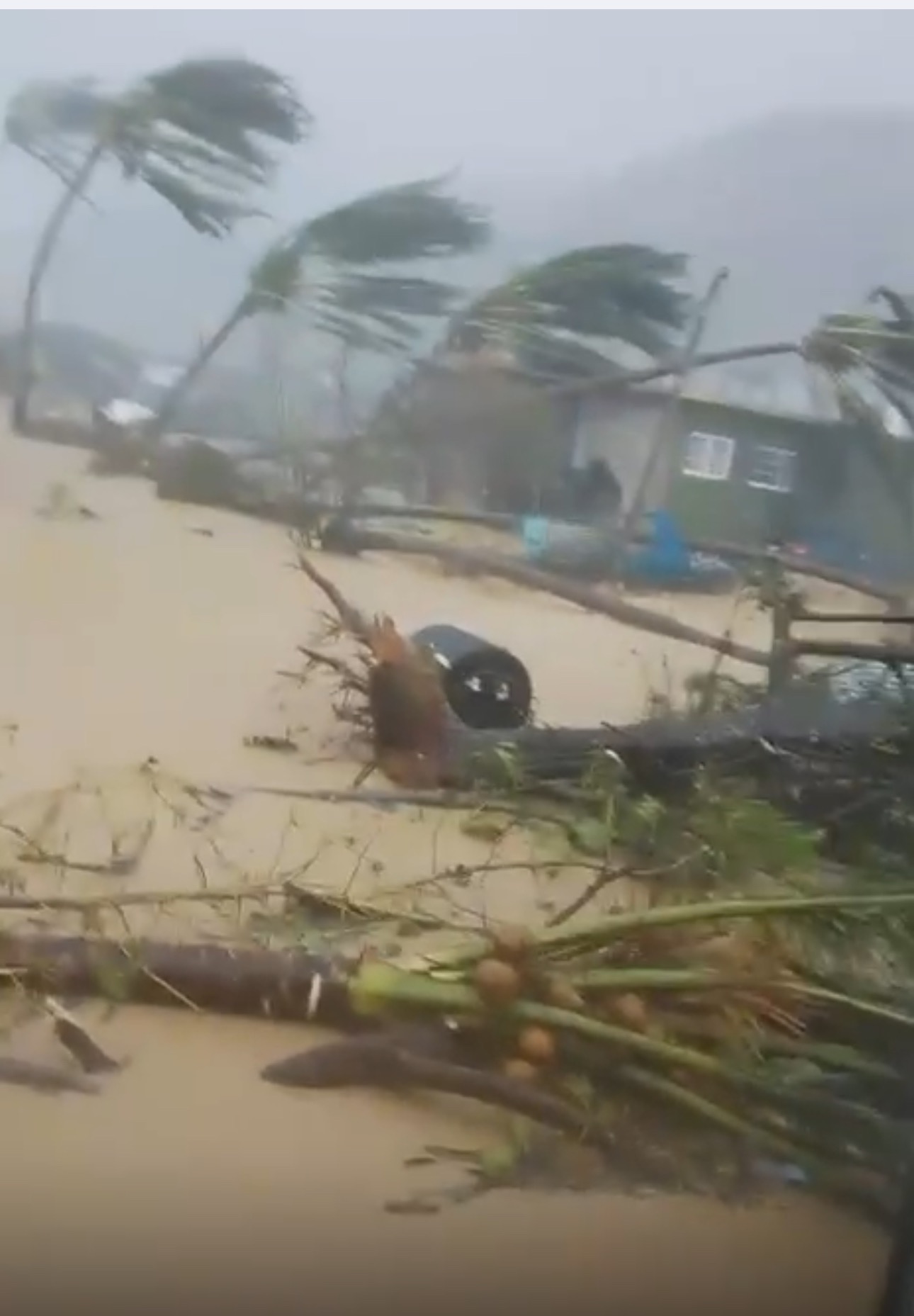 Support Hurricane Melissa Victims in Westmoreland, Jamaica campaign photo, 6 of 7