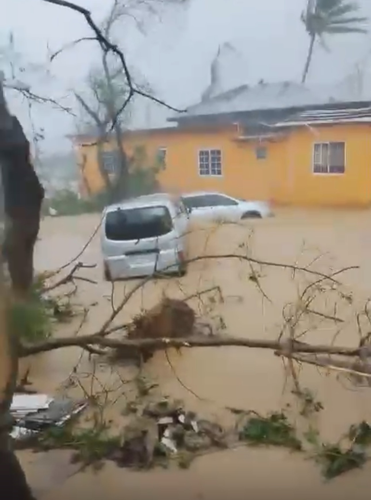 Support Hurricane Melissa Victims in Westmoreland, Jamaica campaign photo, 2 of 7