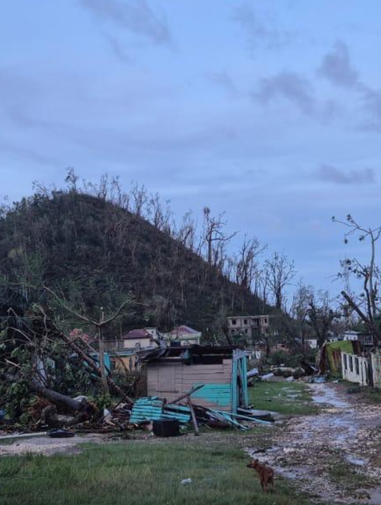 Support Hurricane Melissa Victims in Westmoreland, Jamaica campaign photo, 4 of 7