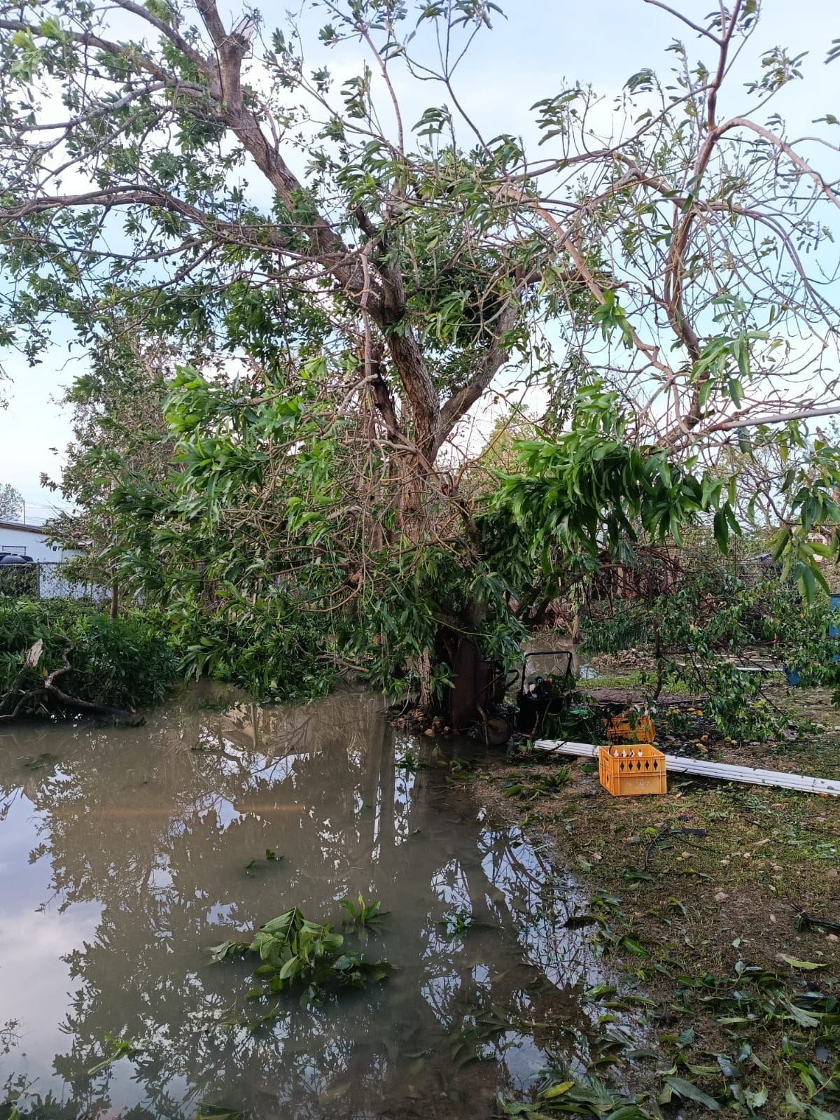Isaacs & Williams Family Relief: Hurricane Melissa campaign photo, 6 of 8