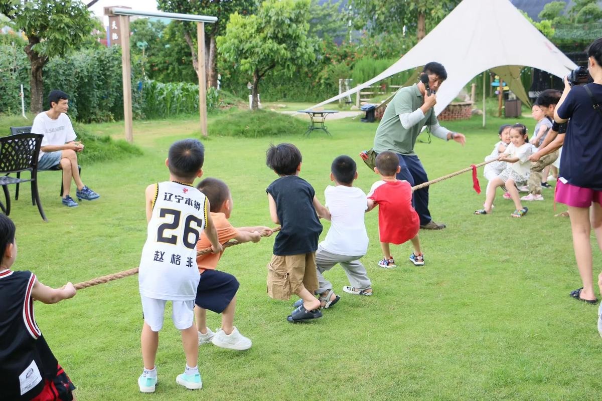 User-uploaded image 1