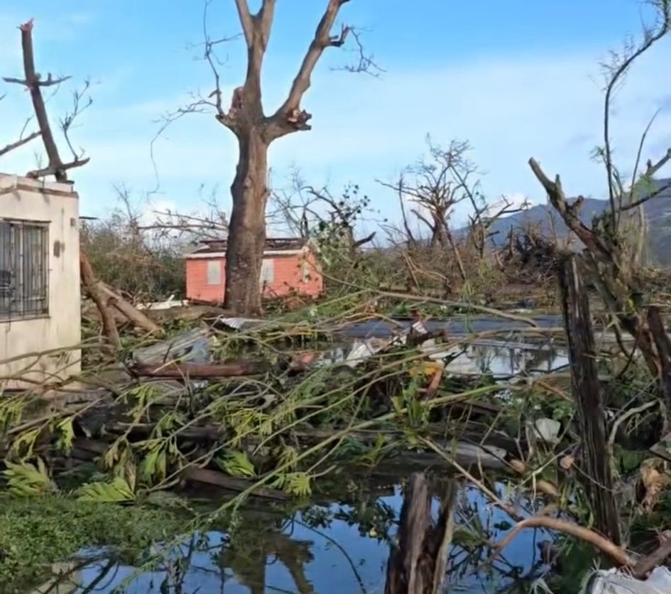 Support Belmont's Hurricane Recovery campaign photo, 4 of 6