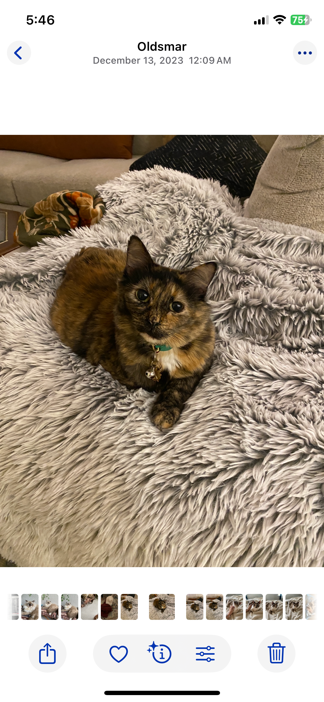 Honoring Baby Dolly: Help with Costs campaign photo, 4 of 6