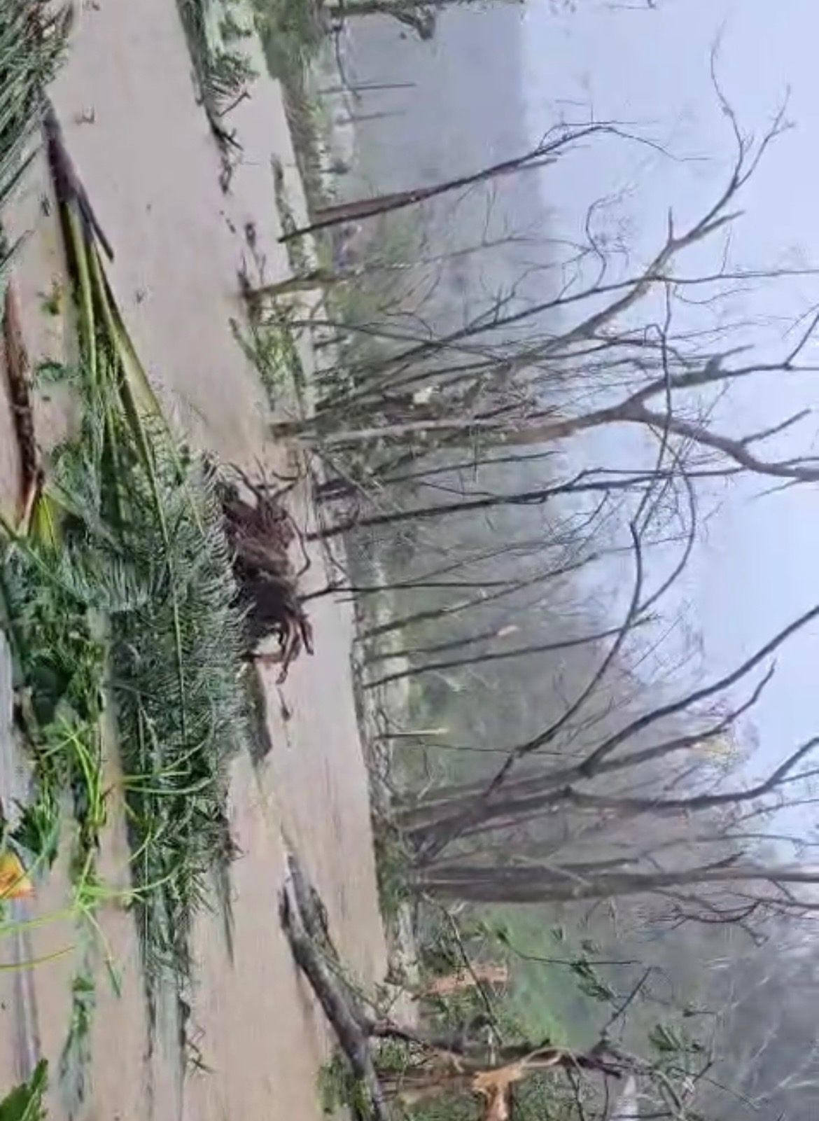Help St. Elizabeth Rebuild After Hurricane Melissa campaign photo, 5 of 7