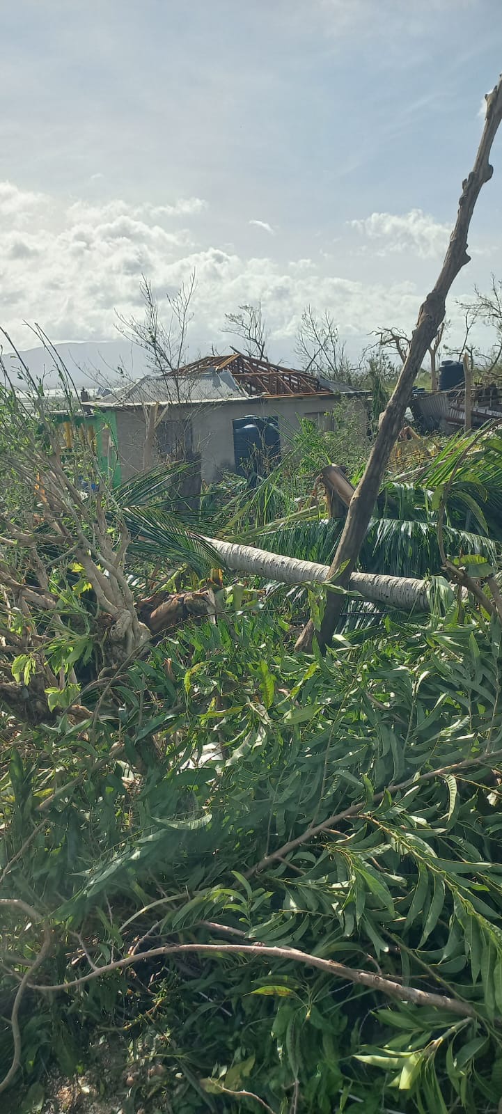 Urgent Relief for Aaisha's Family in Jamaica campaign photo, 5 of 6