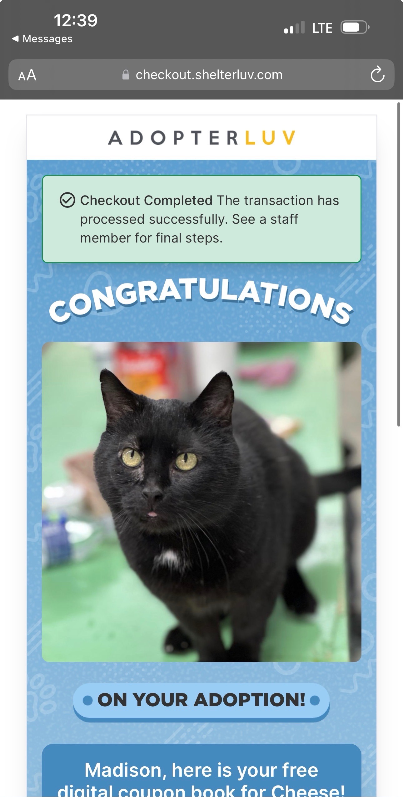 Help Cheese Get Life-Saving Dental Surgery campaign photo, 7 of 8
