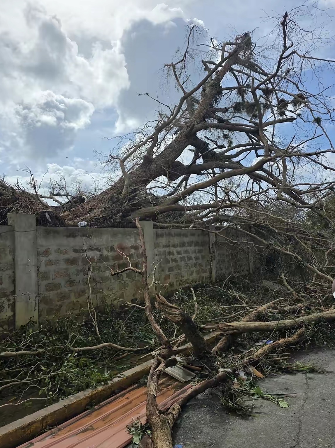 Support Savanna-la-Mar's Hurricane Recovery campaign photo, 6 of 7