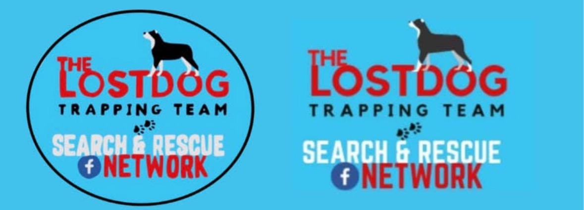 Oscar the Dachshund for The Lost Dog Trapping Team campaign photo, 5 of 7