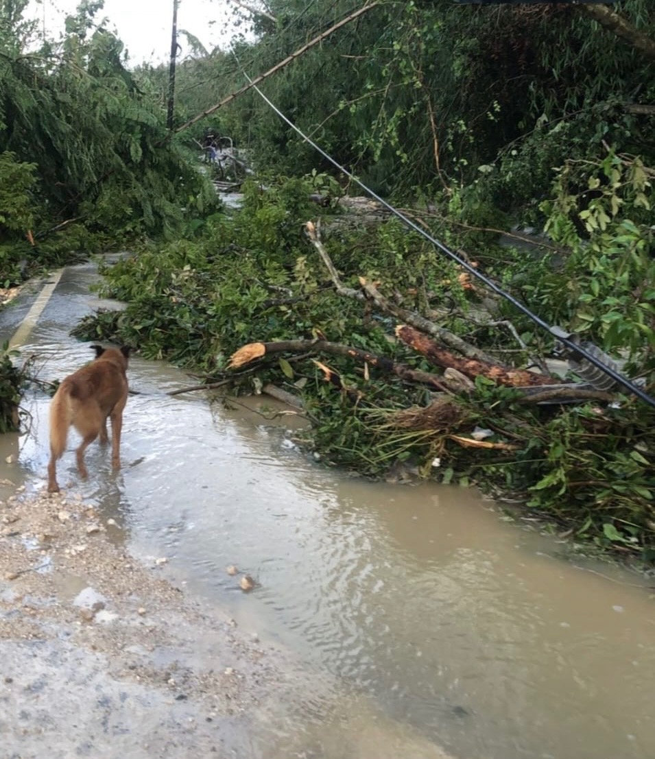 Families Affected By Hurricane Melissa campaign photo, 4 of 5