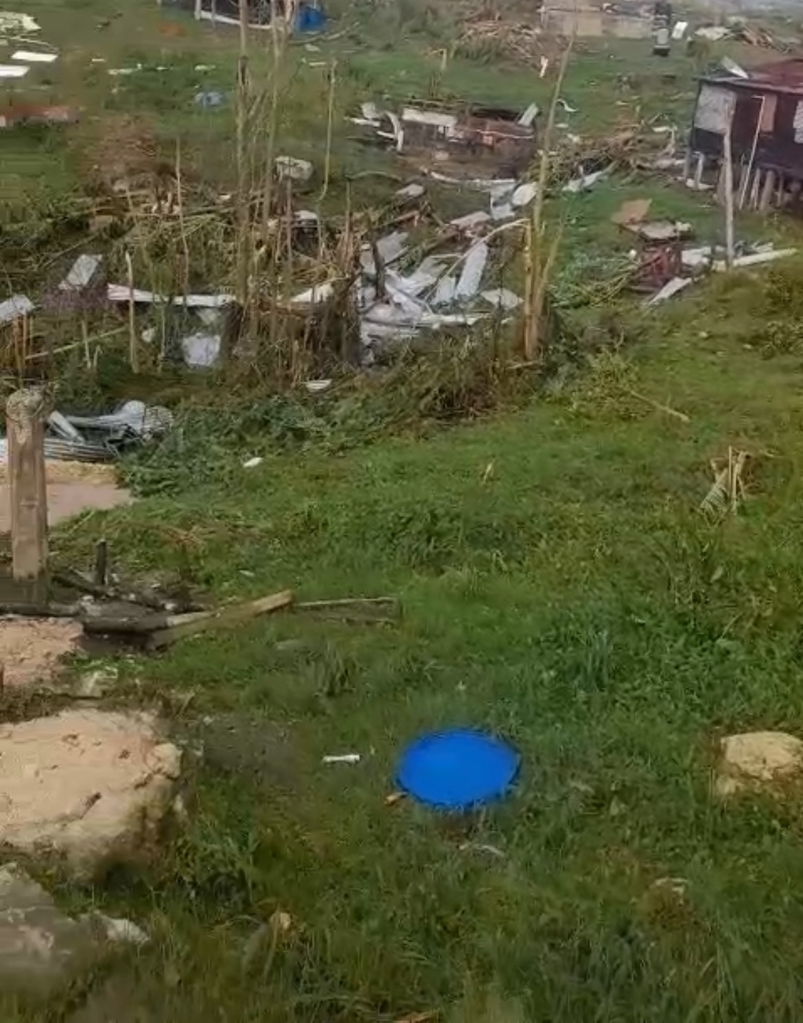 User-uploaded image 1