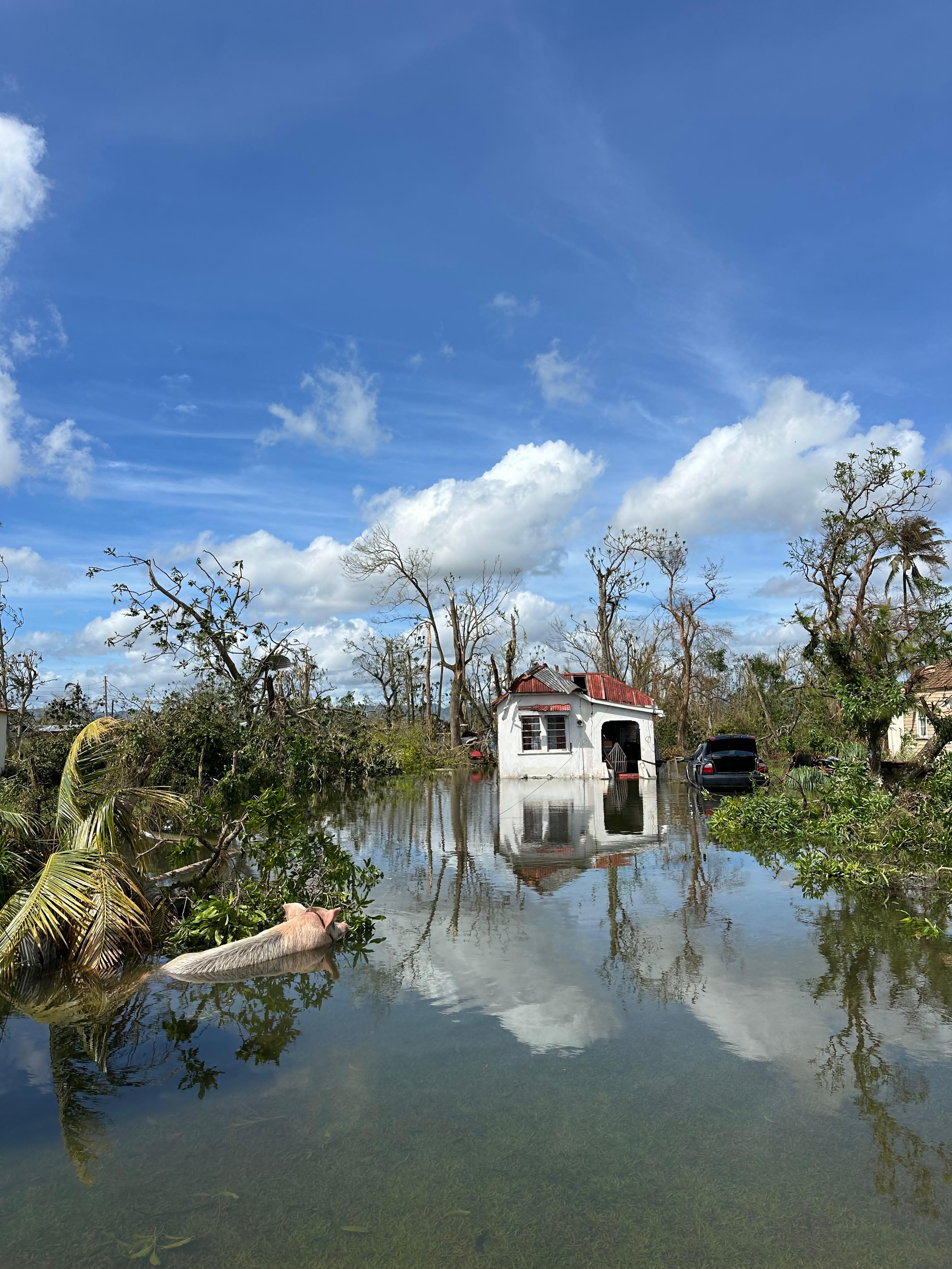 User-uploaded image 1