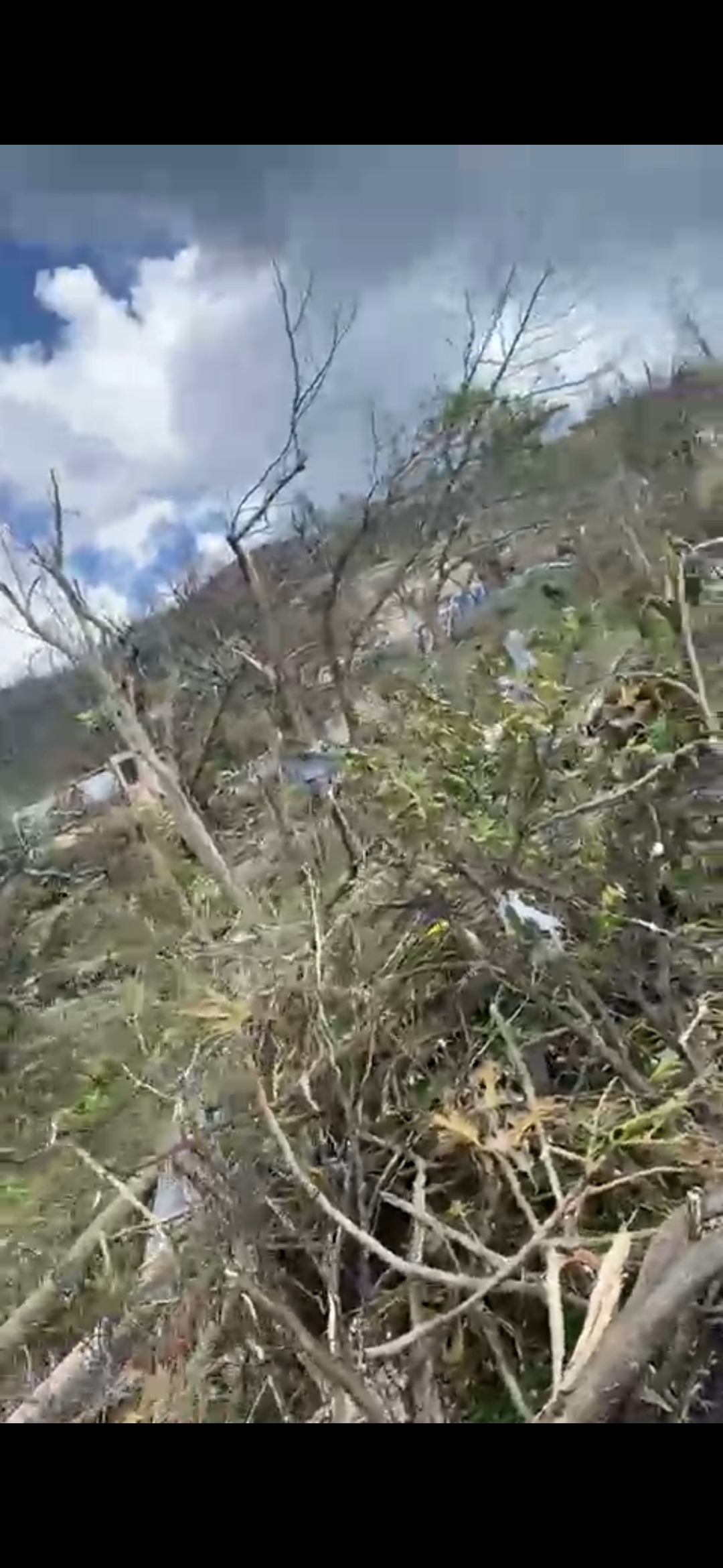 Support Cave Mountain's Recovery Efforts (JAMAICA) campaign photo, 7 of 8