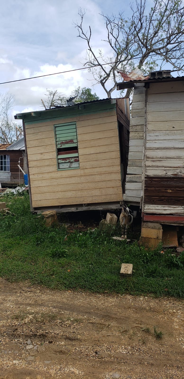 Help Danya restore Bird Mountain after Hurricane Melissa. campaign photo, 2 of 8