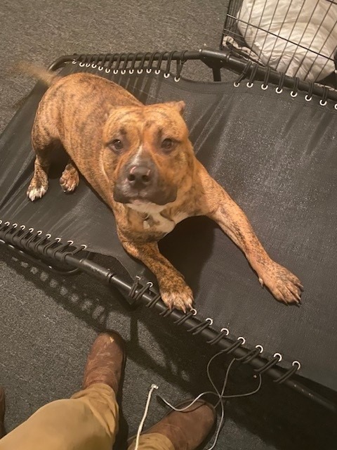 User-uploaded image 1