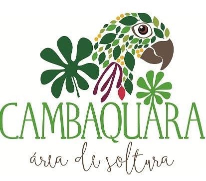 Help ASM rehabilitate the increasing number of injured birds campaign photo, 7 of 8