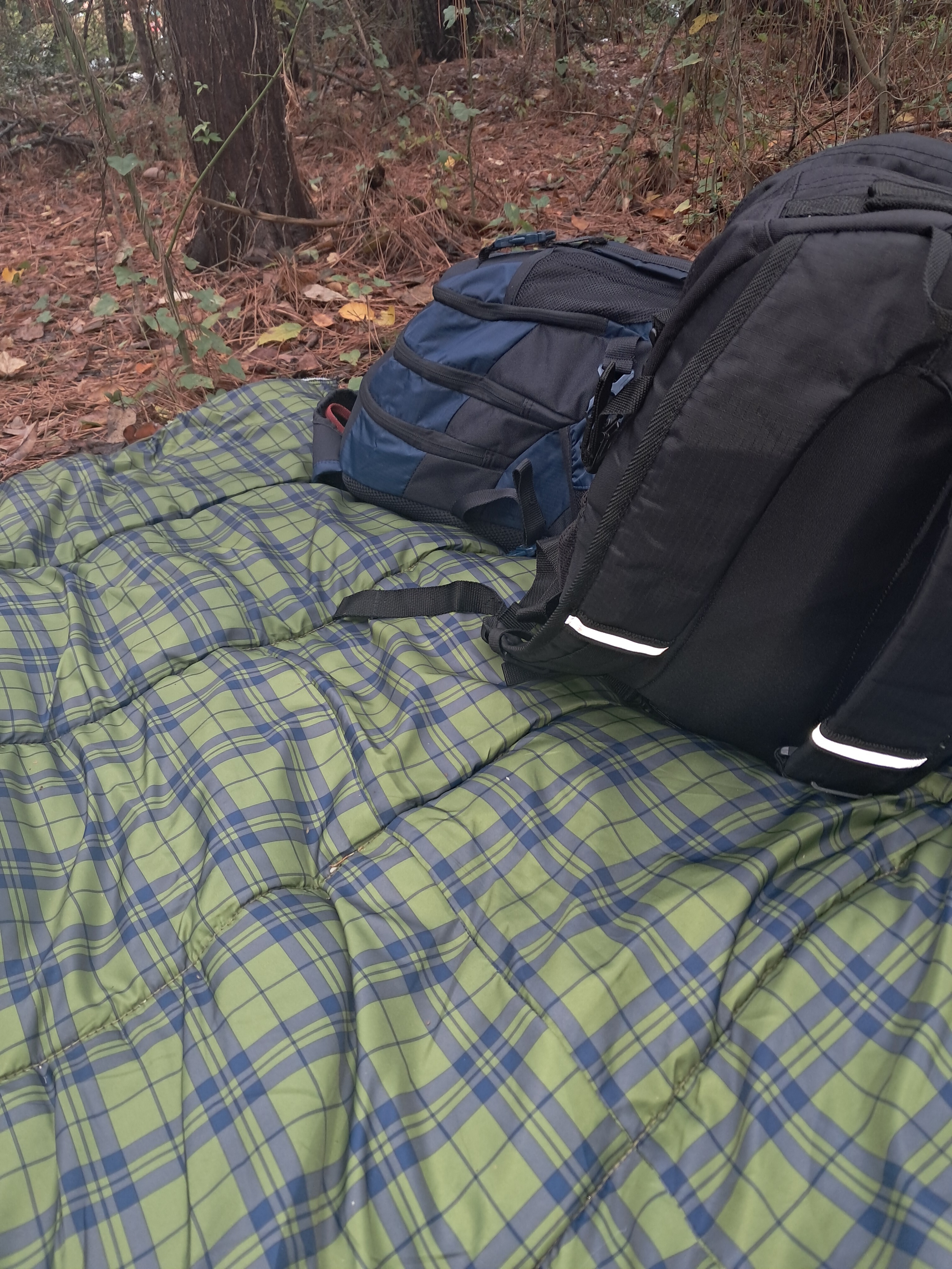 User-uploaded image 1