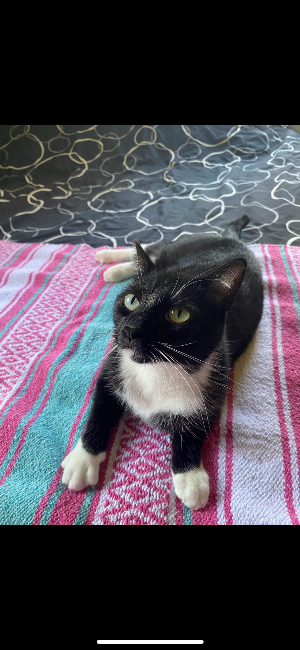Help Rago Get Urgent Medical Care campaign photo, 7 of 8