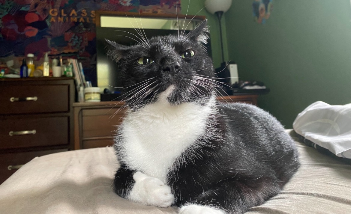Help Rago Get Urgent Medical Care campaign photo, 2 of 8