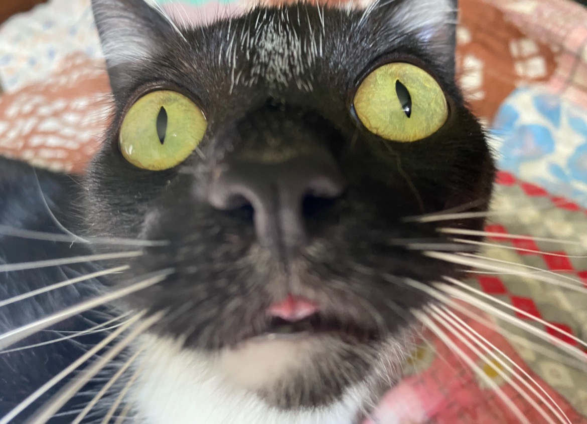 Help Rago Get Urgent Medical Care campaign photo, 6 of 8