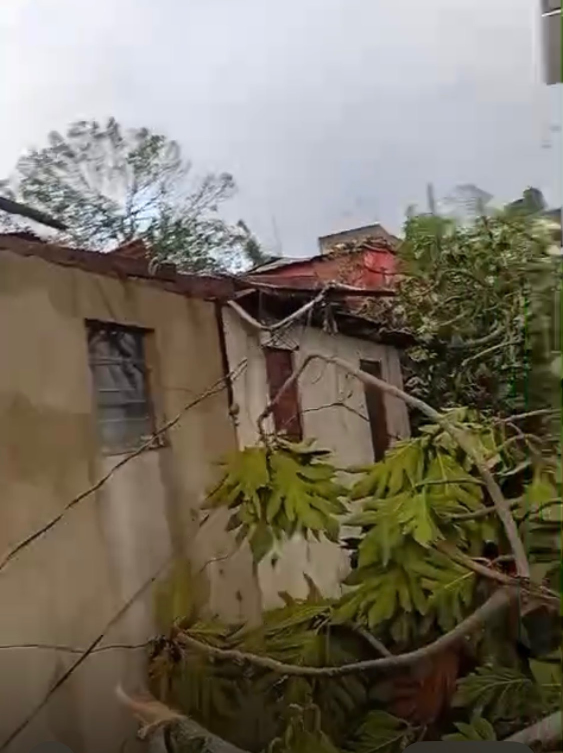 Support Roxy's Family After Hurricane Melissa campaign photo, 4 of 5