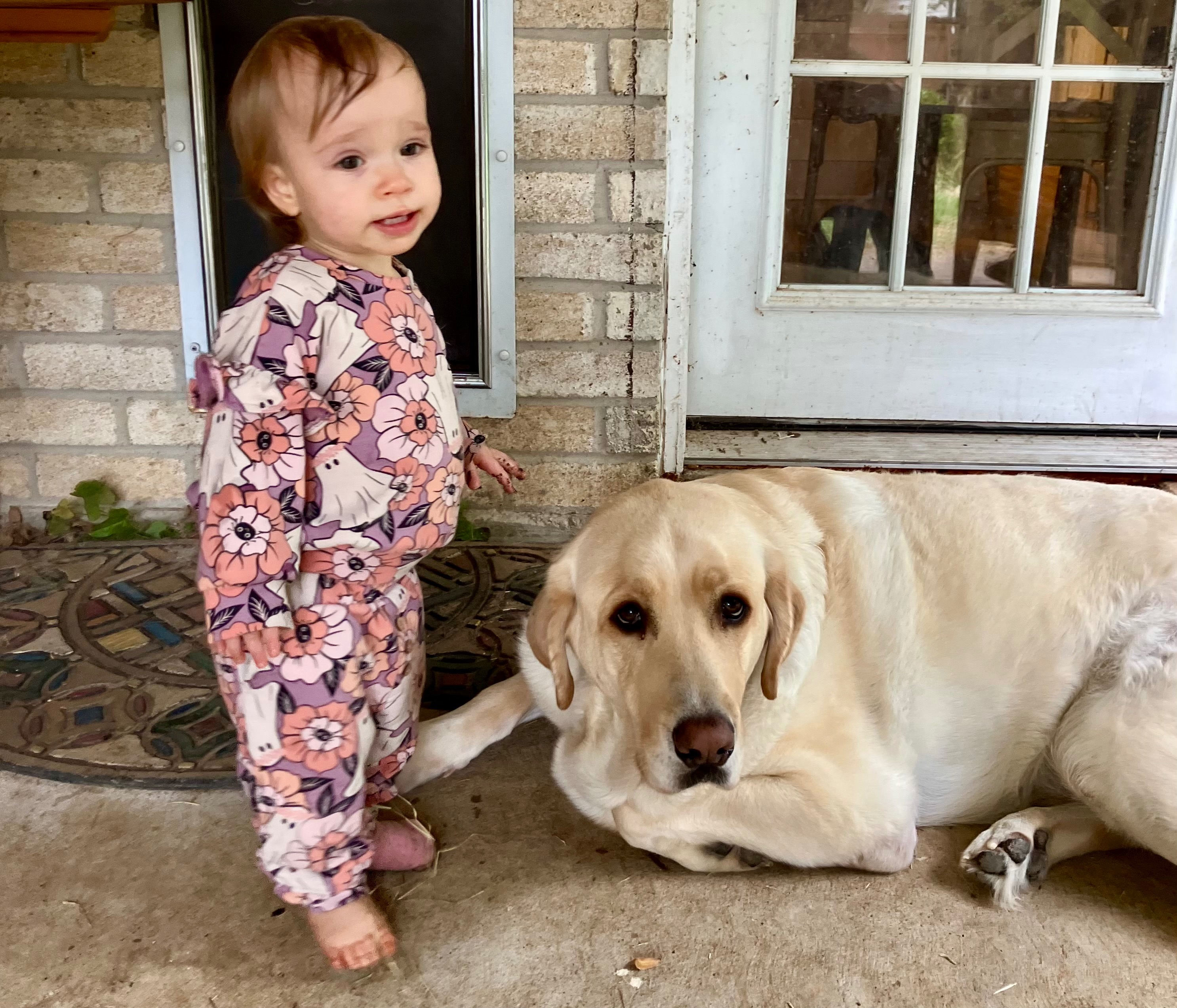 Give Buddy a Chance: Fund His Crucial Surgery campaign photo, 2 of 8