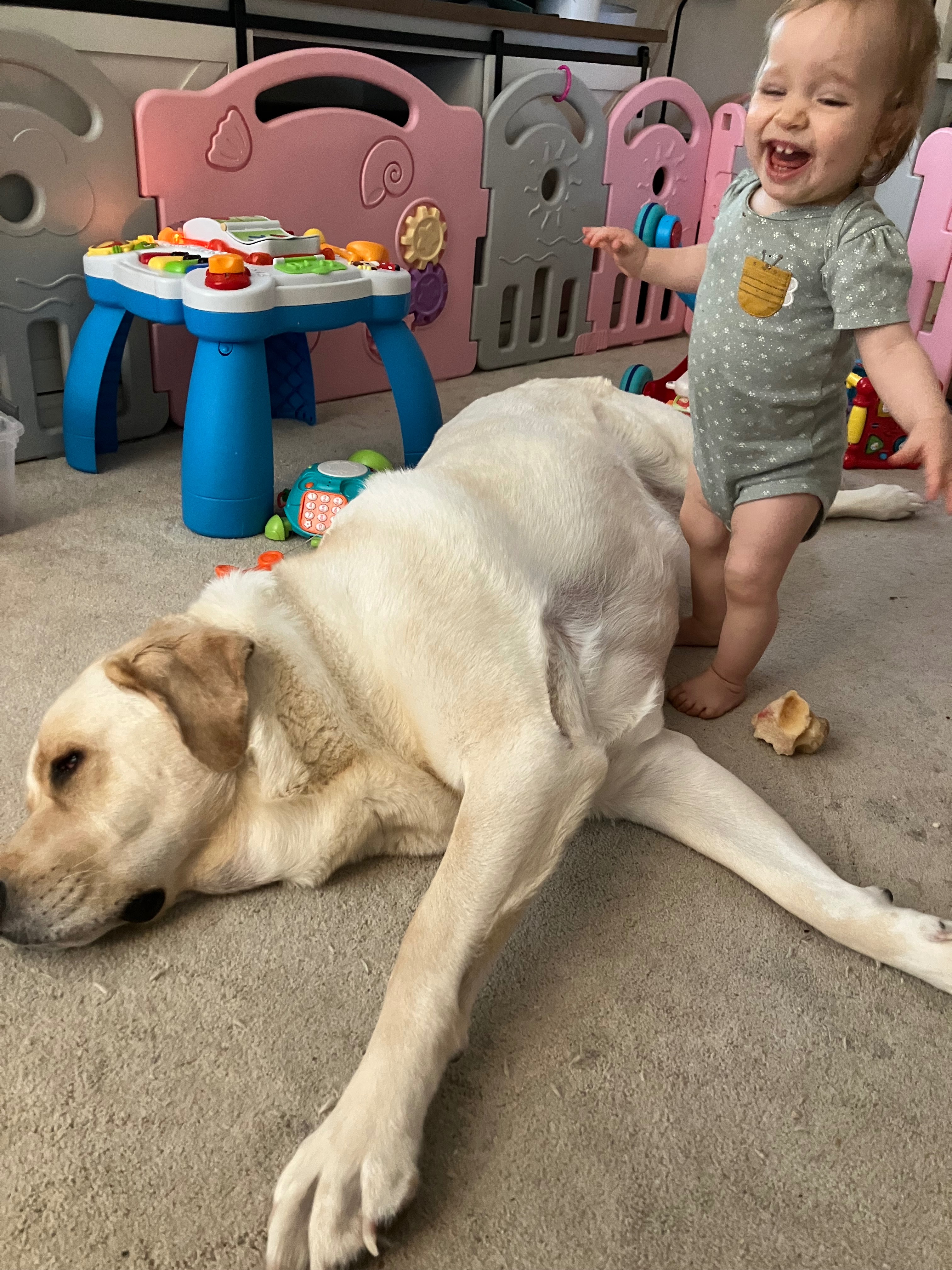 Give Buddy a Chance: Fund His Crucial Surgery campaign photo, 5 of 8