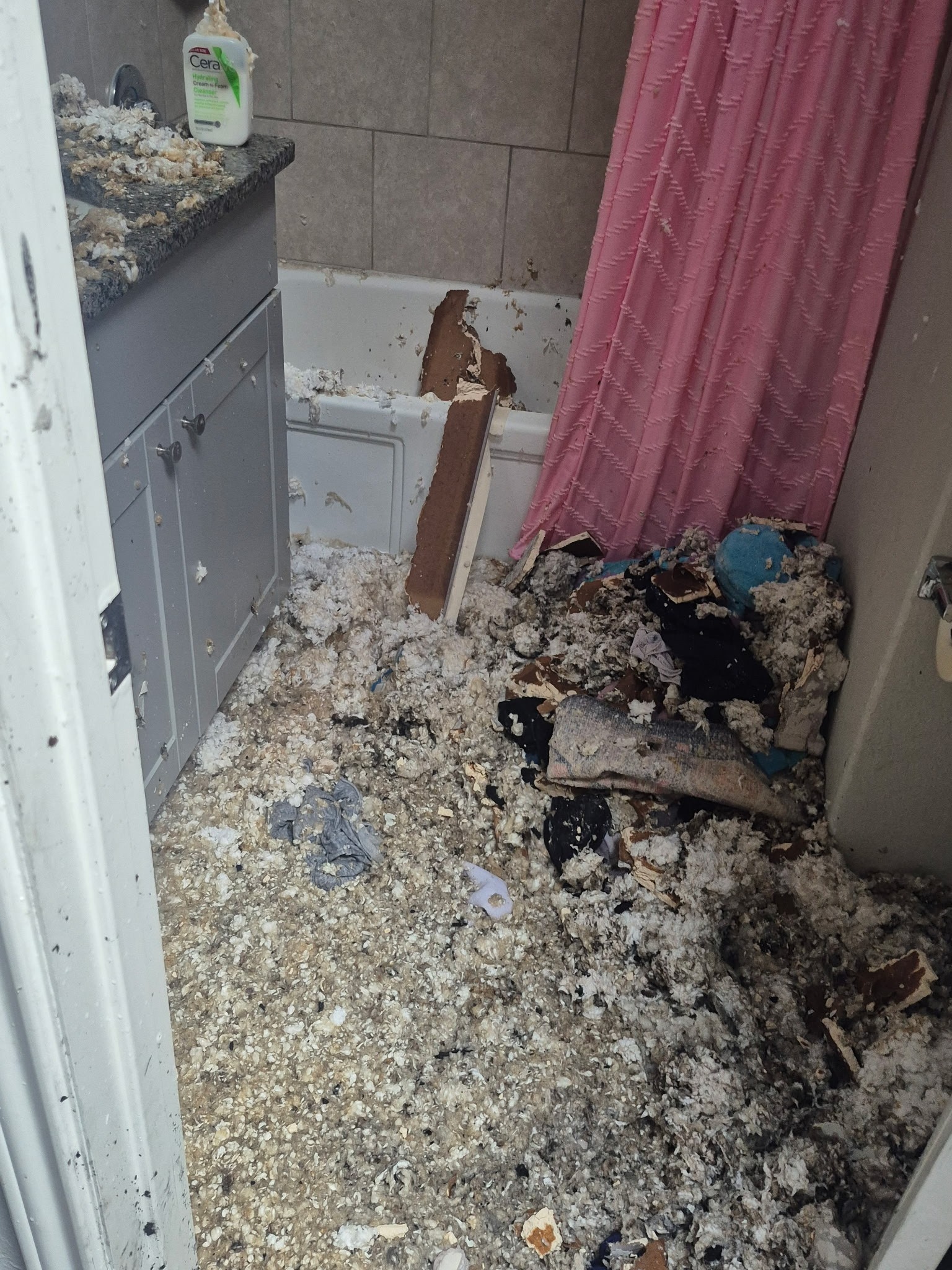 Lighting Strike & Fire Destroys a Family Home campaign photo, 6 of 8