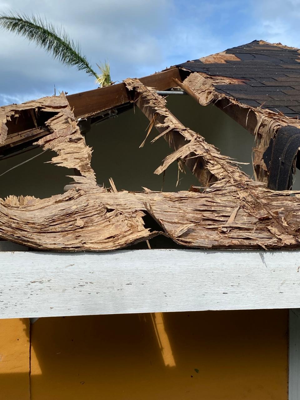 Help my family recover from Hurricane Melissa campaign photo, 5 of 8