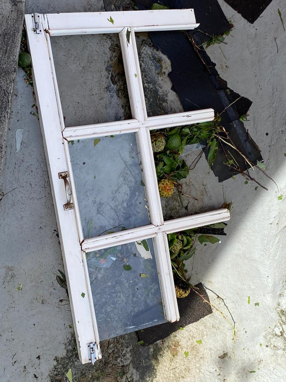Help my family recover from Hurricane Melissa campaign photo, 6 of 8