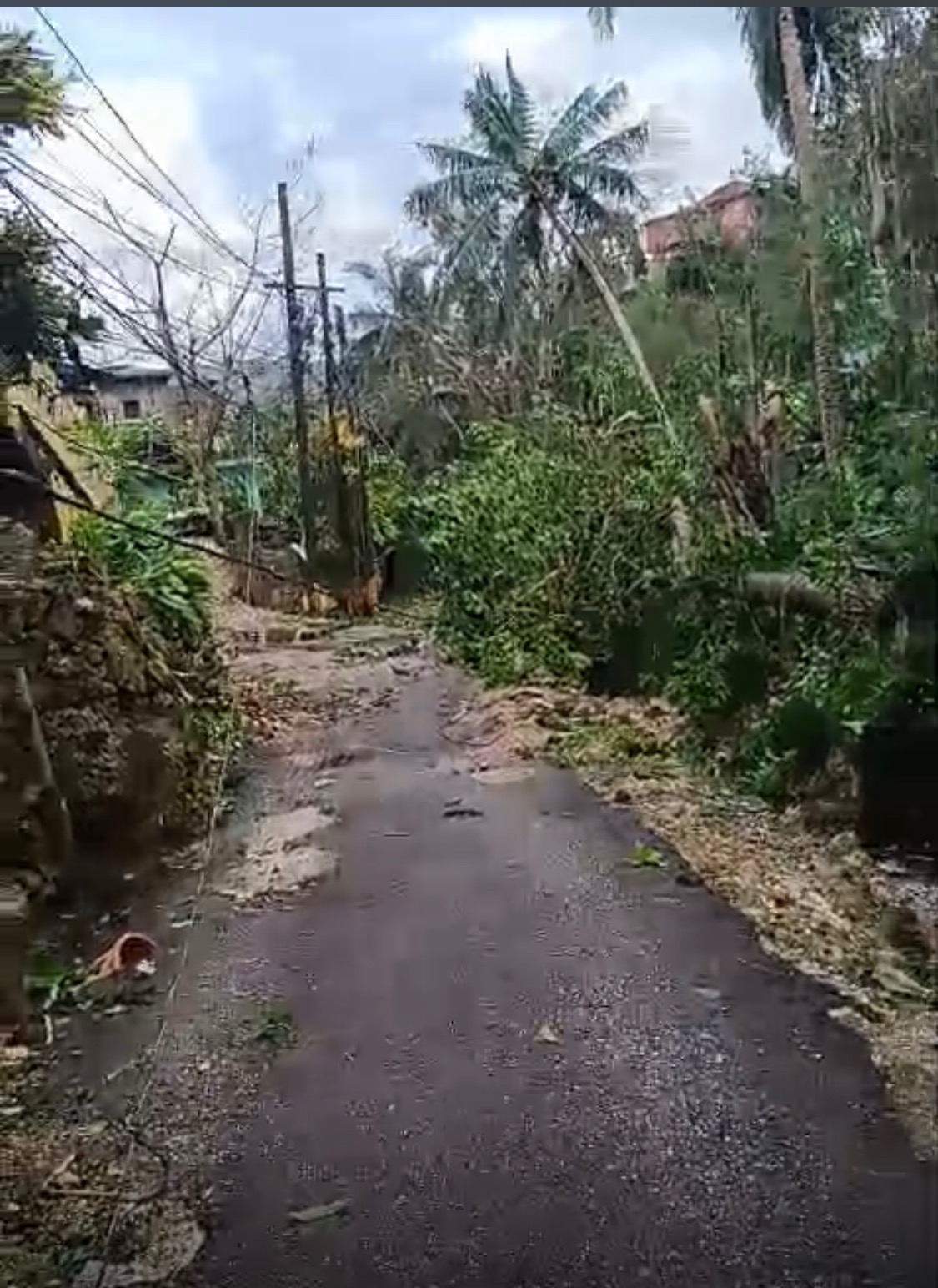 Help Jamaicans regain from hurricane melisa campaign photo, 6 of 7