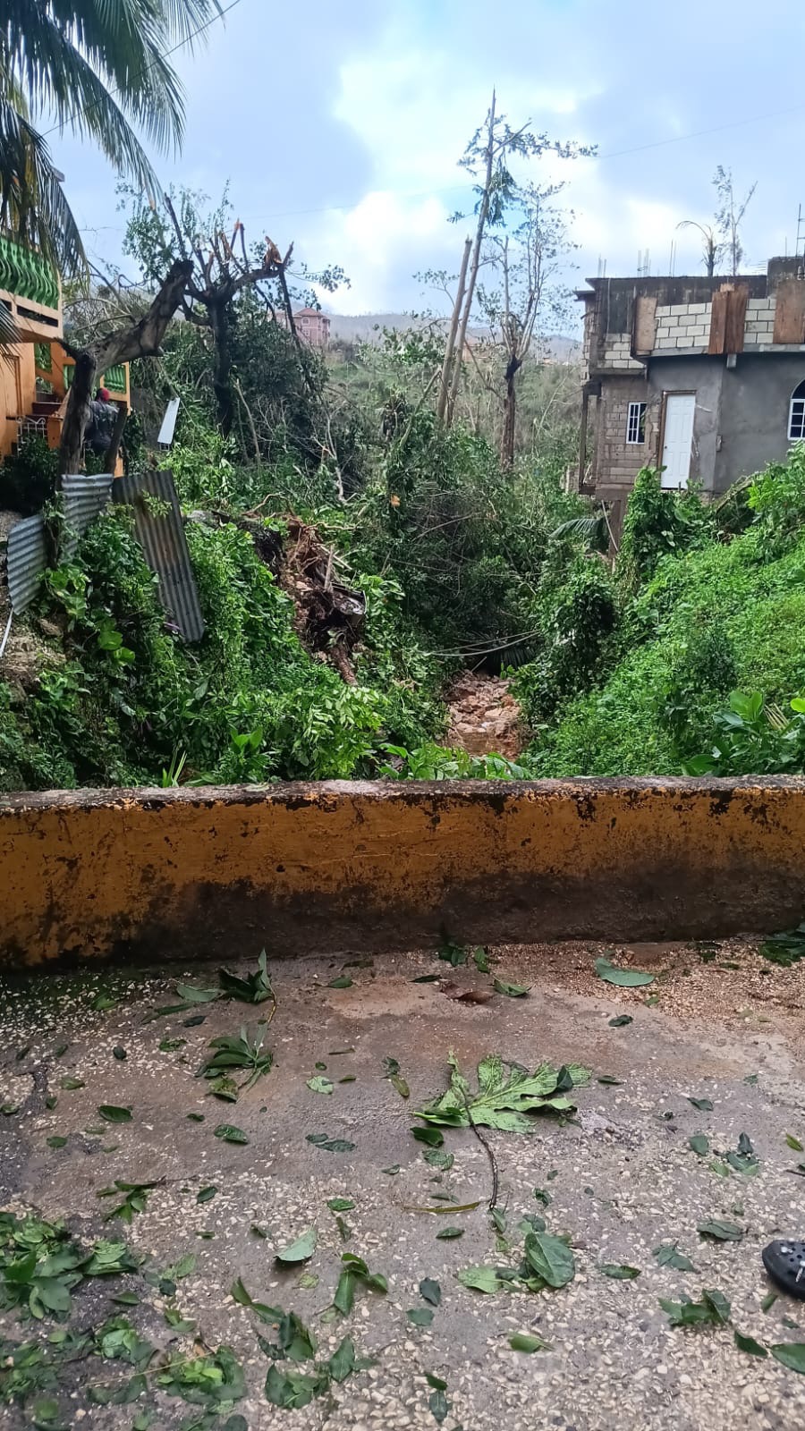 Help Jamaicans regain from hurricane melisa campaign photo, 2 of 7