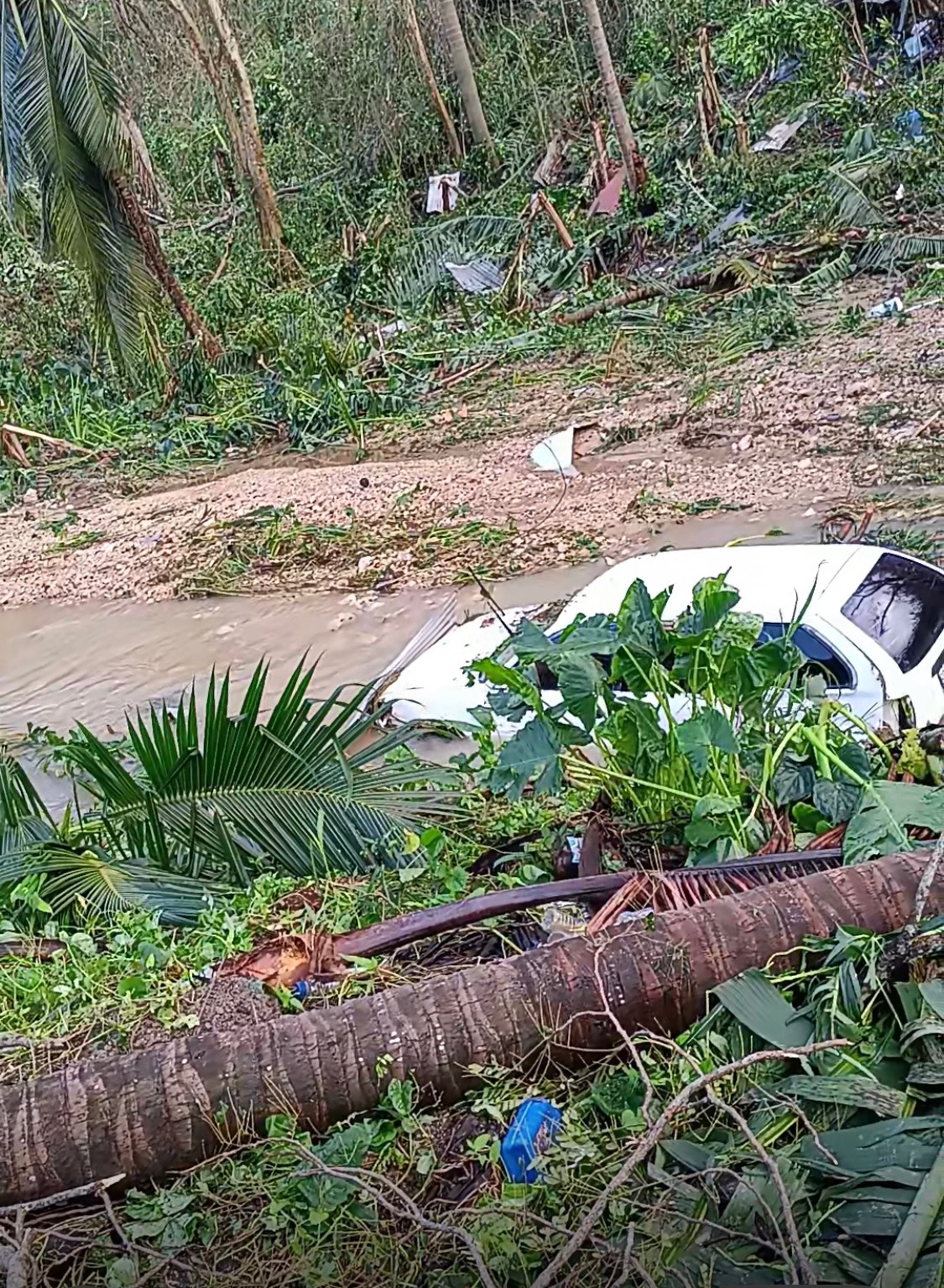 Help Jamaicans regain from hurricane melisa campaign photo, 4 of 7