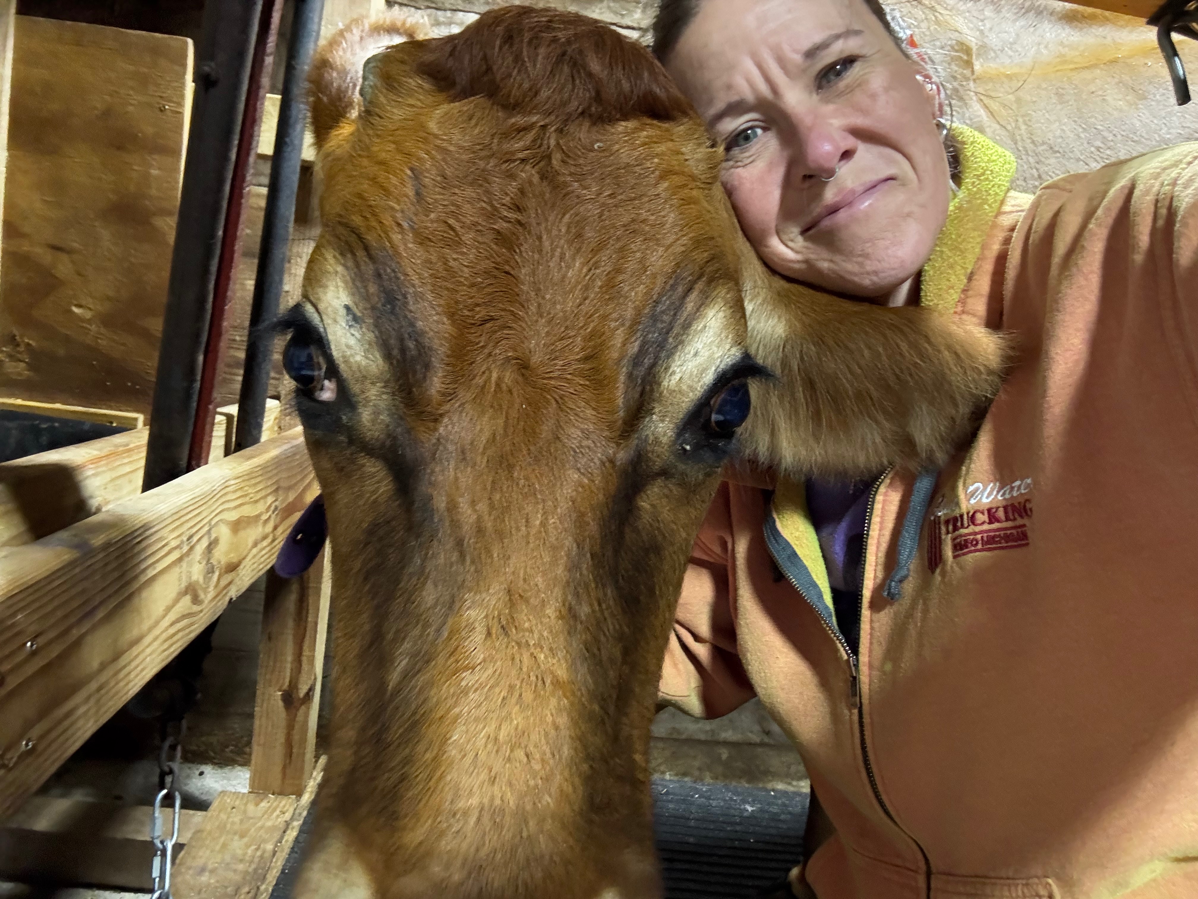 Support Faber Farm: Upgrade Essential Equipment campaign photo, 2 of 8