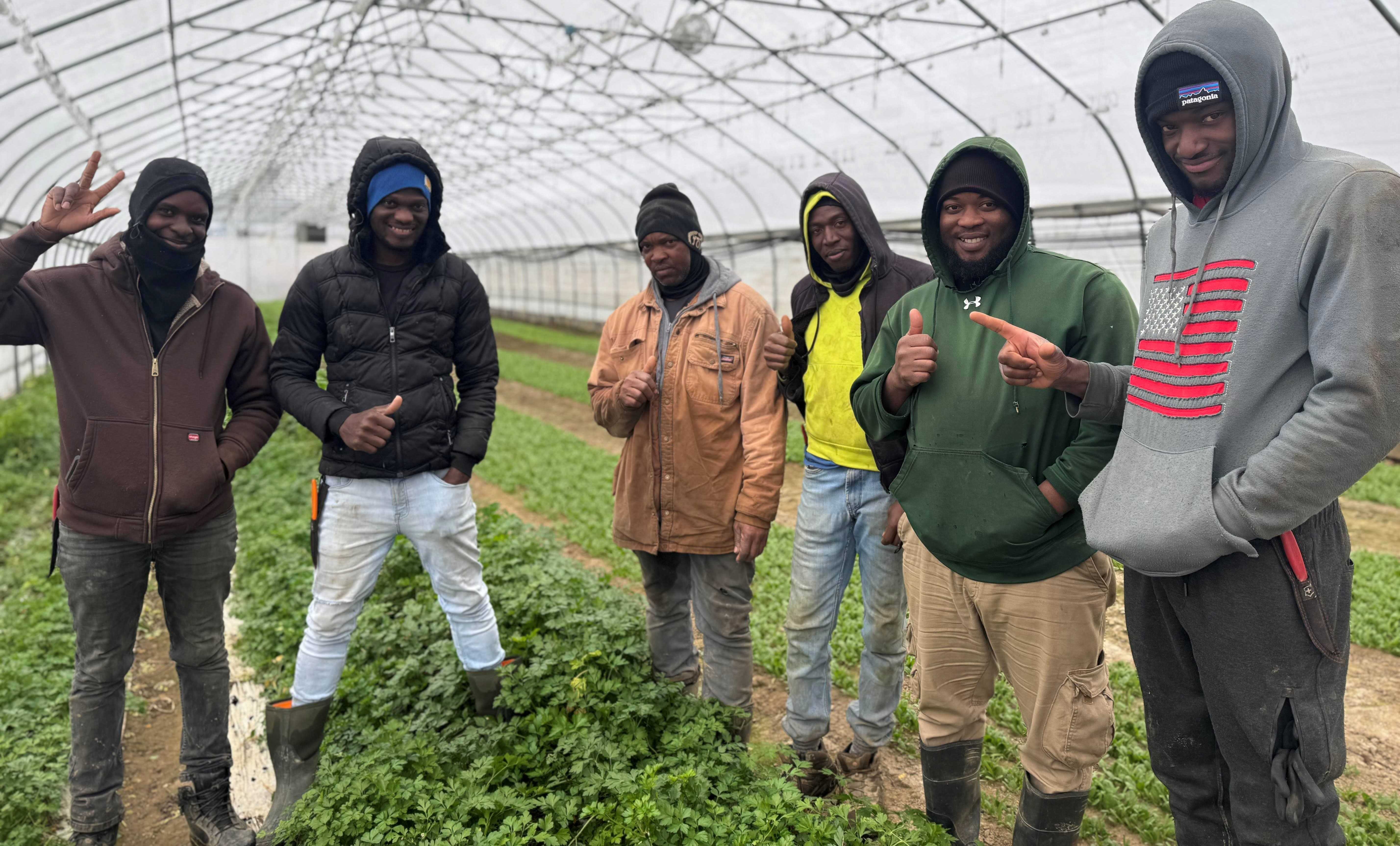 User-uploaded image 1