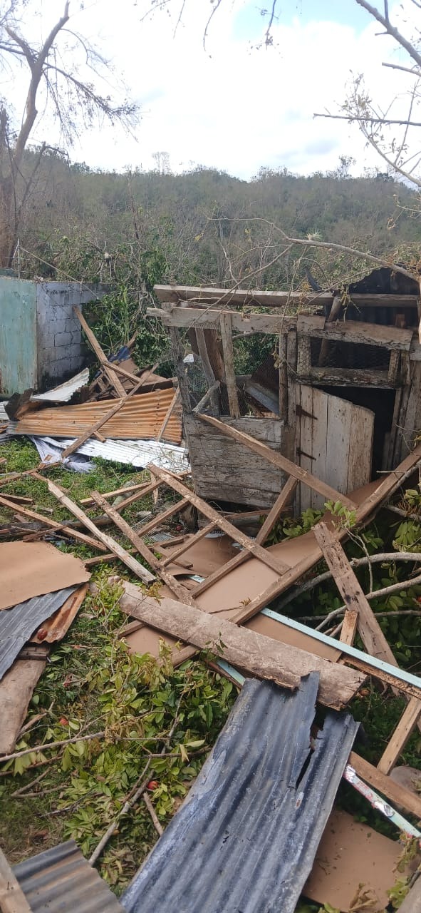 Trying desperately to recover after hurricane Melissa campaign photo, 2 of 8